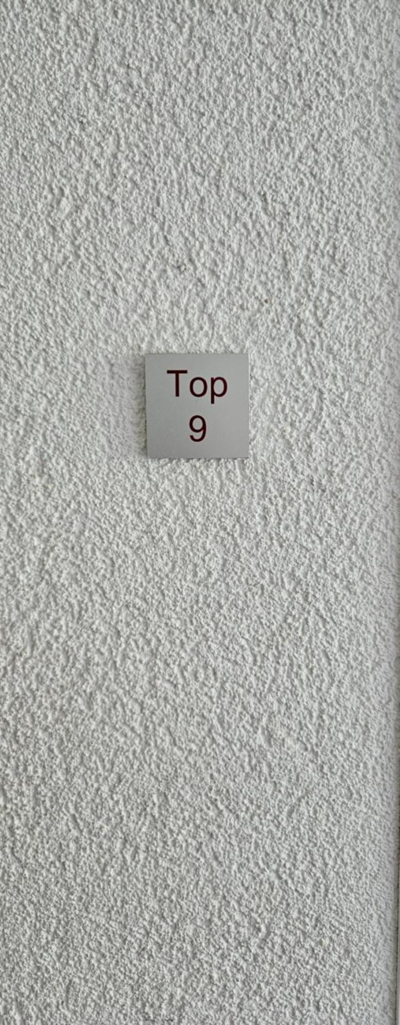 Damuelser Horn Kamer foto